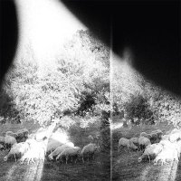 Godspeed You! Black Emperor — Asunder, Sweet And Other Distress (2015)