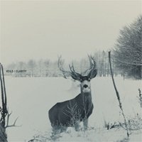 Рецензия на альбом группы Veils — Clarity (2012)