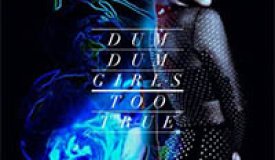 Рецензия на альбом Dum Dum Girls — Too True (2014)