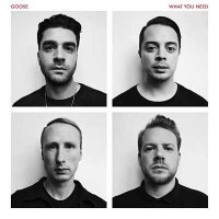Goose — What You Need (2016)