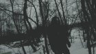 Elderwind
