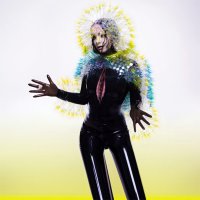Рецензия на Björk — Vulnicura (2015)