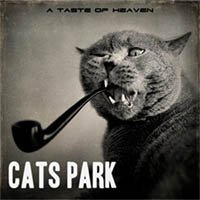 Рецензия на альбом Cats Park — A Taste Of Heaven (2013)