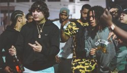 Shoreline Mafia