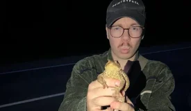Baldemoboy