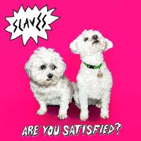 Slaves — Are You Satisfied? (2015)