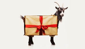 Козы спели рождественские песни