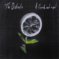 The Districts — A Flourish And A Spoil (2015)