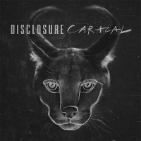 Disclosure — Caracal (2015)