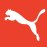 PUMA: 6 вещей, которых вы не знали