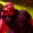 Ex-вокалист Killswitch Engage станет фронтменом новой супергруппы