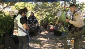 Американский полицейский заджемил с местной группой