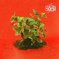 Cullen Omori — New Misery (2016)