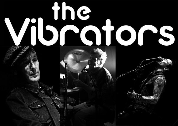 the_vibrators_2013_russia_moskva