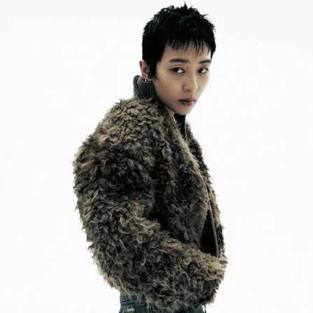 dabin.kr